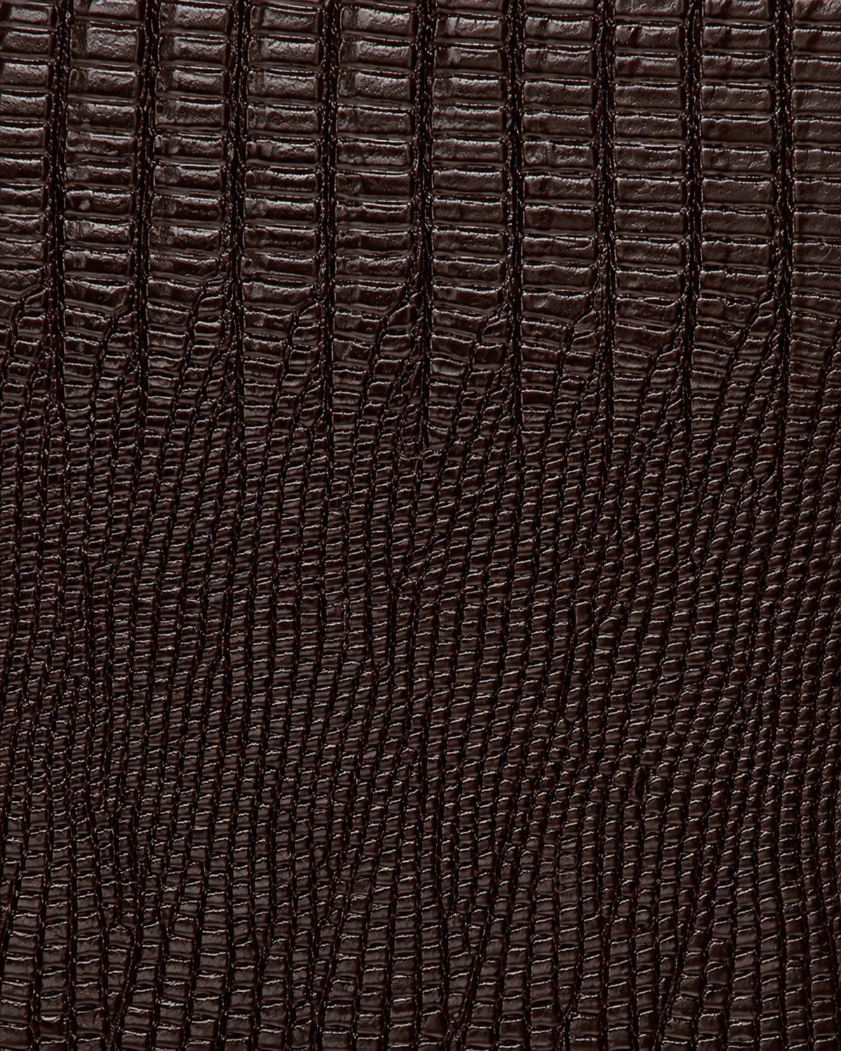 Ristretto Brown Lizard