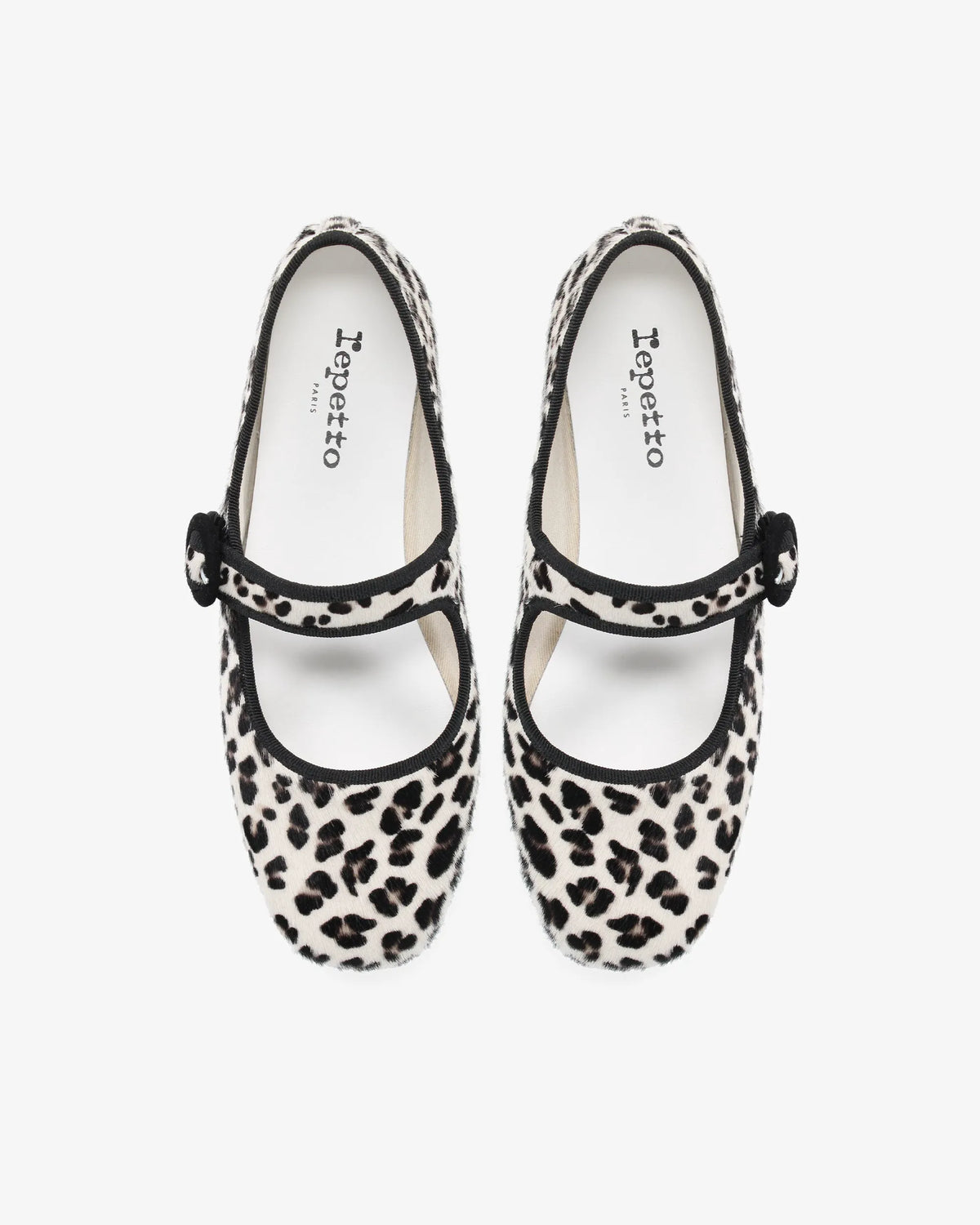 Snow Leopard White