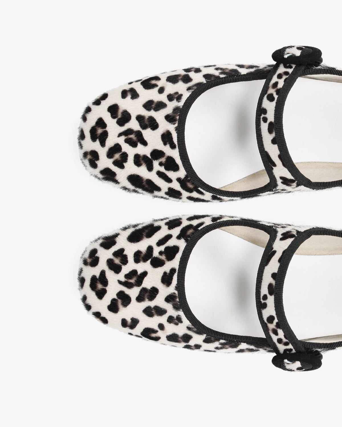 Snow Leopard White